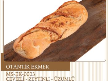 ms ek