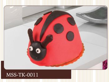 mss tk